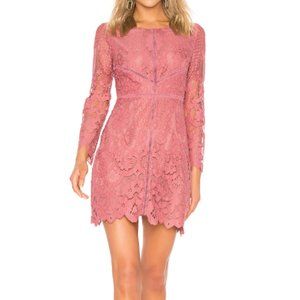 lace mini dress